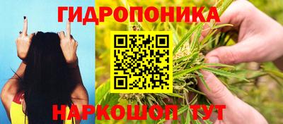скорость Донской