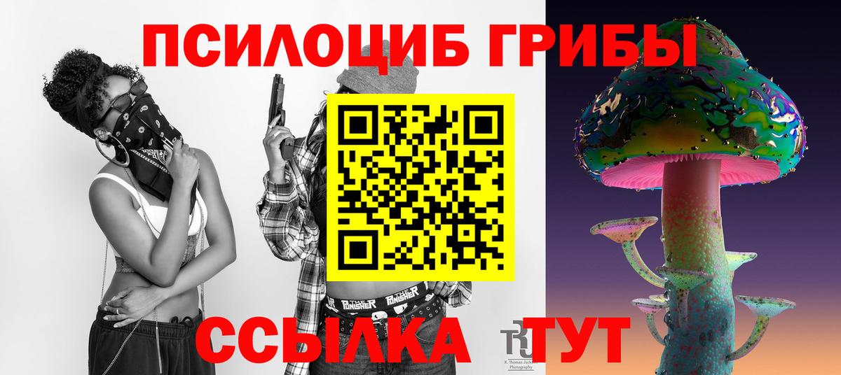 Псилоцибиновые грибы мицелий  закладка  Новочеркасск  Вход с VPN 